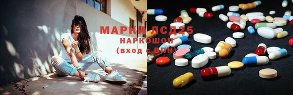 ГАЛЛЮЦИНОГЕННЫЕ ГРИБЫ Богданович