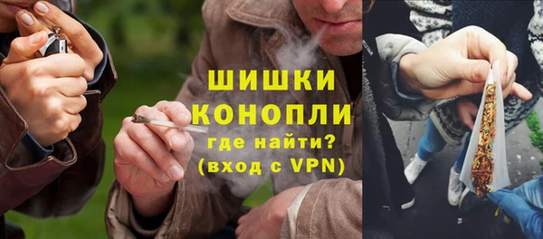 ГАЛЛЮЦИНОГЕННЫЕ ГРИБЫ Богданович